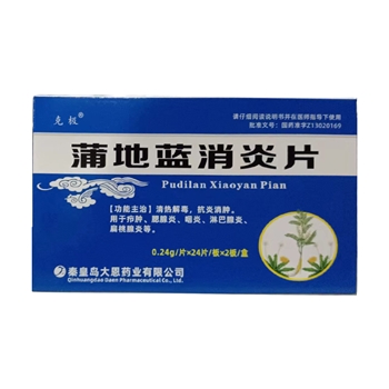 蒲地蓝消炎片0.24g/片*24片/板*2板/盒