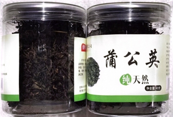 蒲公英40g/瓶