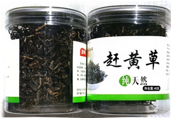赶黄草40g/瓶